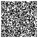 QR code with Public Storage contacts