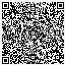 QR code with Public Storage contacts