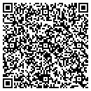 QR code with Public Storage contacts
