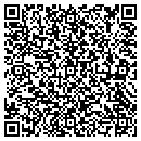 QR code with Cumulus Computing LLC contacts
