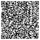 QR code with Public Library Systems contacts