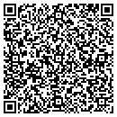 QR code with Precise Aviation Inc contacts