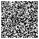 QR code with Cashion Grain & Feed contacts