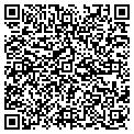 QR code with Rewind contacts