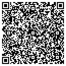 QR code with Premier Woodcraft contacts