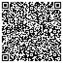 QR code with Pratt Tool contacts