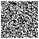 QR code with Public Storage contacts