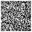 QR code with Cjs Hillview Rv LLC contacts