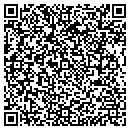 QR code with Princeton Tool contacts