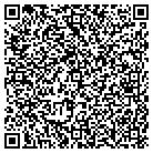 QR code with Blue Haven Pools & Spas contacts