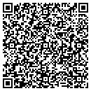 QR code with Colmar Storage LLC contacts