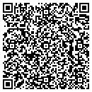 QR code with Premierpools contacts