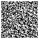 QR code with Castlewood Storage contacts