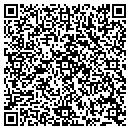 QR code with Public Storage contacts