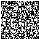QR code with Briggs Plumbing Inc contacts