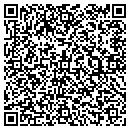 QR code with Clinton Street Video contacts