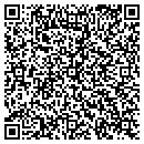 QR code with Pure Day Spa contacts
