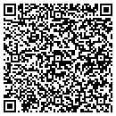 QR code with Premier Service Inc contacts