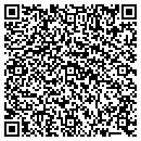QR code with Public Storage contacts