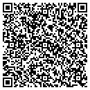 QR code with Public Storage contacts