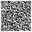 QR code with Public Storage contacts
