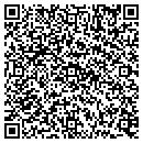 QR code with Public Storage contacts