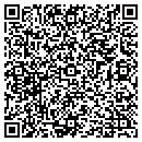 QR code with China Light Restaurant contacts