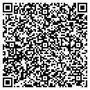 QR code with Public Storage contacts