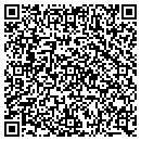 QR code with Public Storage contacts