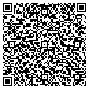 QR code with Crystal Clear Vision contacts