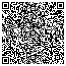 QR code with Pyrodyne Corp contacts