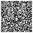 QR code with Capri Salon And Spa contacts