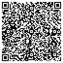QR code with Ct Sales And Service contacts