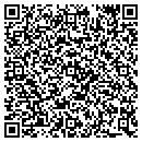 QR code with Public Storage contacts
