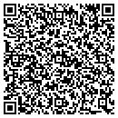 QR code with Public Storage contacts