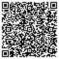 QR code with New Wok contacts