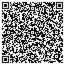 QR code with Public Storage contacts