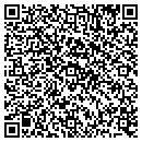 QR code with Public Storage contacts