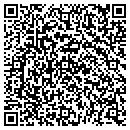 QR code with Public Storage contacts
