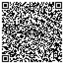 QR code with Public Storage contacts