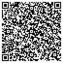 QR code with Public Storage contacts