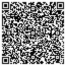 QR code with Public Storage contacts