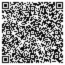 QR code with Public Storage contacts