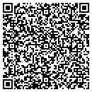 QR code with Public Storage contacts