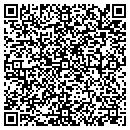 QR code with Public Storage contacts