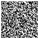 QR code with Public Storage contacts