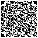 QR code with Public Storage contacts