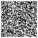 QR code with Public Storage contacts