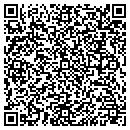 QR code with Public Storage contacts