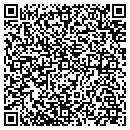 QR code with Public Storage contacts